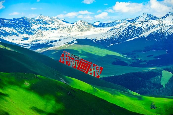 將夏天的“綠” 裝進屏幕里，一組護眼壁紙請查收！