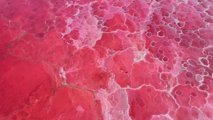 巴丹吉林沙漠現(xiàn)“草莓氣泡水”湖泊