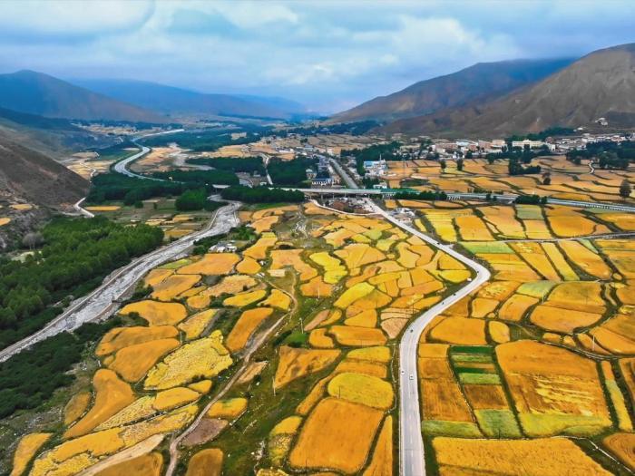 立秋時(shí)節(jié)高原青海“豐景”初現(xiàn)