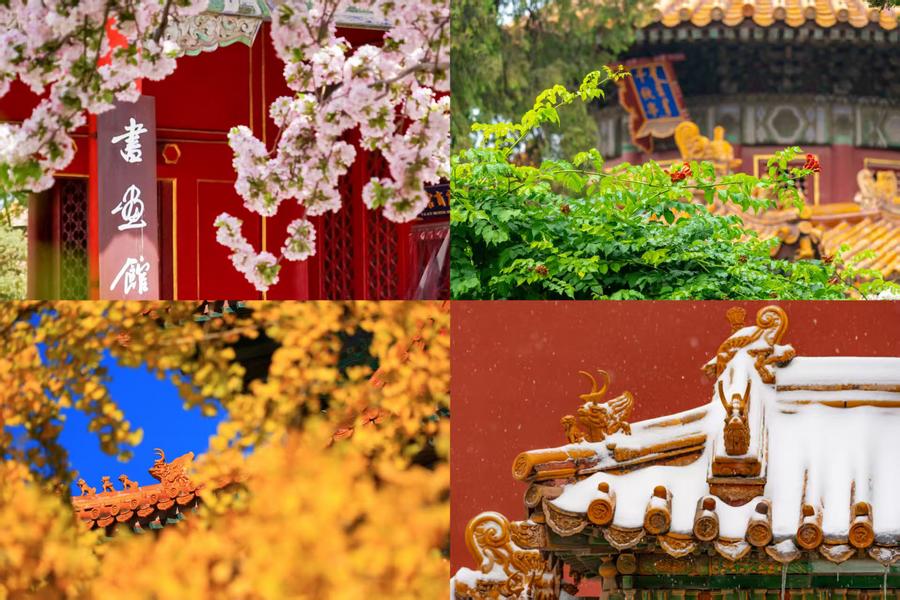 百歲快樂(lè)！一組圖領(lǐng)略故宮四季流轉(zhuǎn)之美