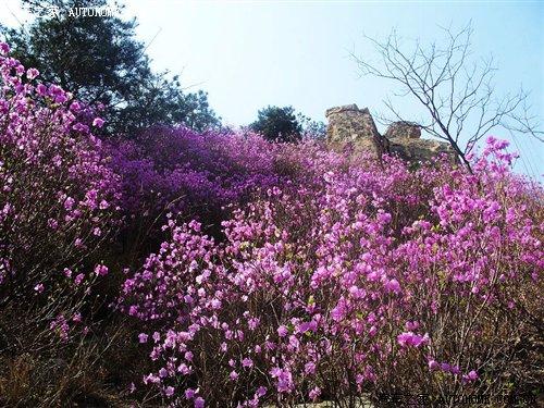 玩轉(zhuǎn)自駕游之阿爾山 4款四驅(qū)城市型SUV 汽車之家 玩轉(zhuǎn)自駕游之阿爾山 4款四驅(qū)城市型SUV 汽車之家