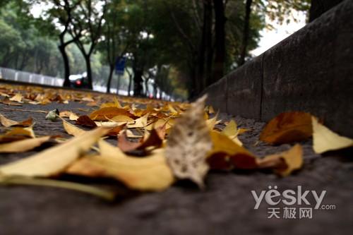 ���ܔ�(sh��)�a���C(j��)�Ј� ���M���P(gu��n)ע��ǰʮ��C(j��)