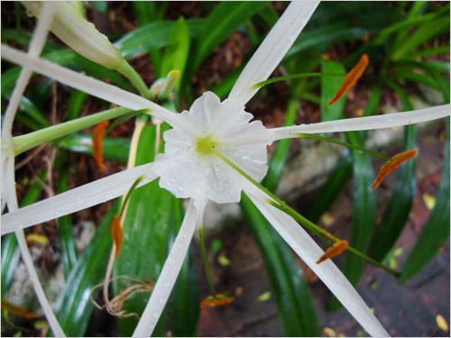 ���ܔ�(sh��)�a���C(j��)�Ј�(ch��ng) ���M(f��i)���P(gu��n)ע��ǰʮ��C(j��)