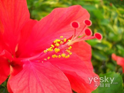 最美還是夕陽紅 十一老年旅游相機選購推薦