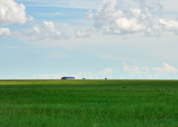 這個夏天，留一幀給“呼倫貝爾綠”