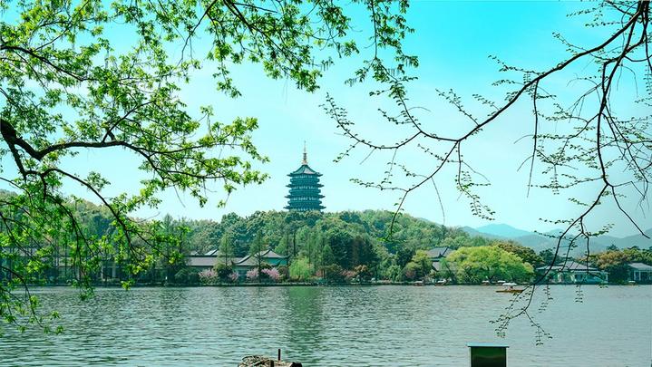 江山如此多嬌 | 西湖美景，八月天吶