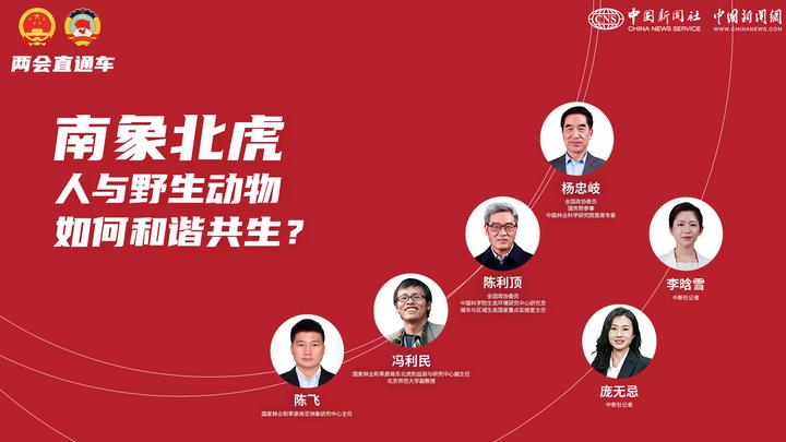 兩會直通車:南象北虎 人與野生動物如何和諧共生?