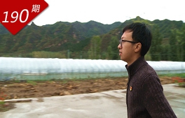 我這五年：創業村官